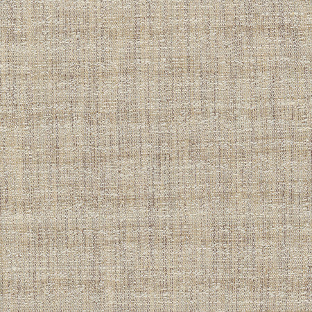 Join Me Natural by Carole Designer Fabric Alliance 100% Polyester India None 54"" - Swanky Fabrics -