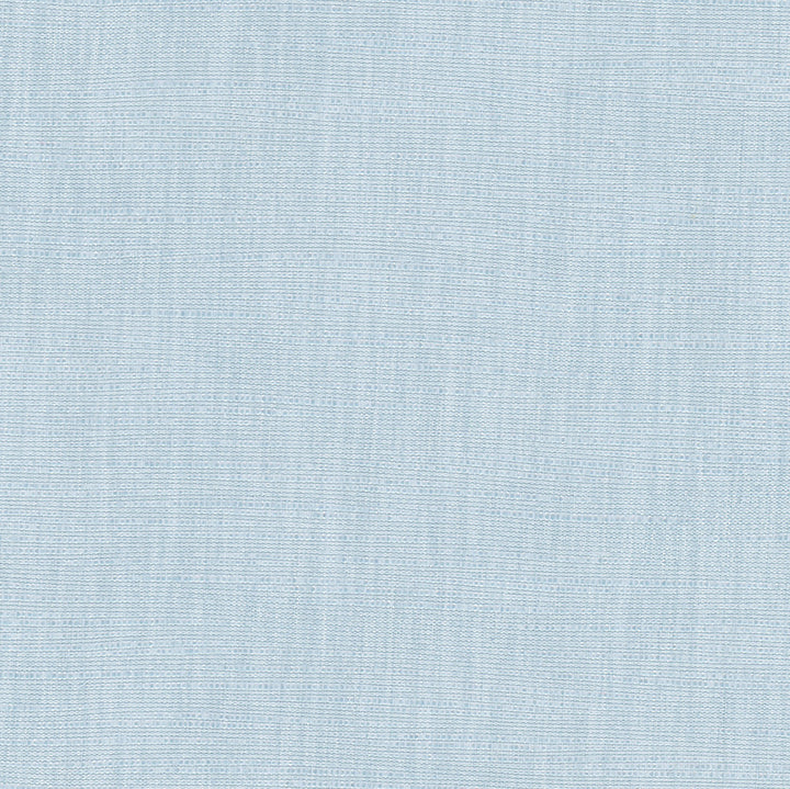 Athlete Aqua by Carole Fabric Cadet 60% Cotton, 40% Polyester India Passes 50,000 Double Rubs Wyzenbeek Horizontal: 0 and Vertical: 0 55 - Fabric Carolina -