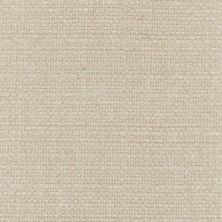 More Texture Champagne by Carole Designer Fabric Sandblasted 95% Polyester, 5% Nylon China Passes 15,000 Double Rubs Wyzenbeek Horizontal: 0" and Vertical: 0" 55" - Swanky Fabrics -