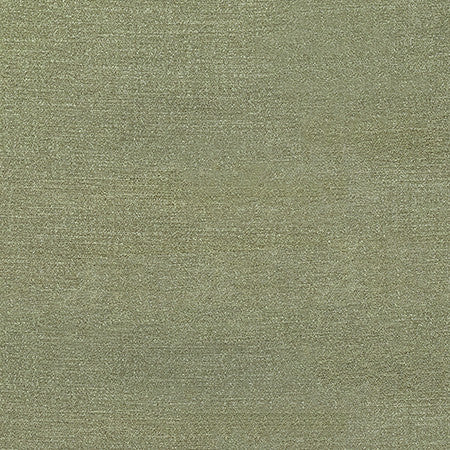 Illustrious Thyme by Carole Designer Fabric Best Dressed 100% Polyester 65,000 Wyzenbeek Double Rubs None 54" - Swanky Fabrics -