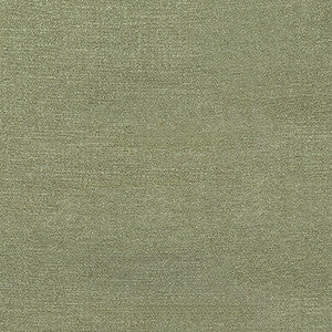 Illustrious Thyme by Carole Fabric