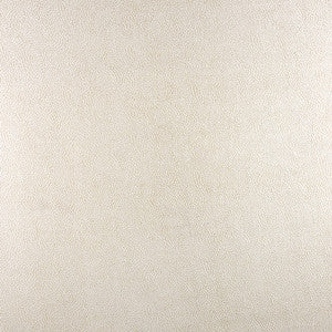 Secret Spot Oatmeal by Carole Fabric