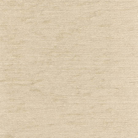 Clean Slate Latte by Carole Fabric First Class 100% Polyester INDIA N/A None 54"  - Fabric Carolina -
