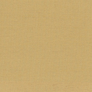 Succulent Latte by Carole Fabric