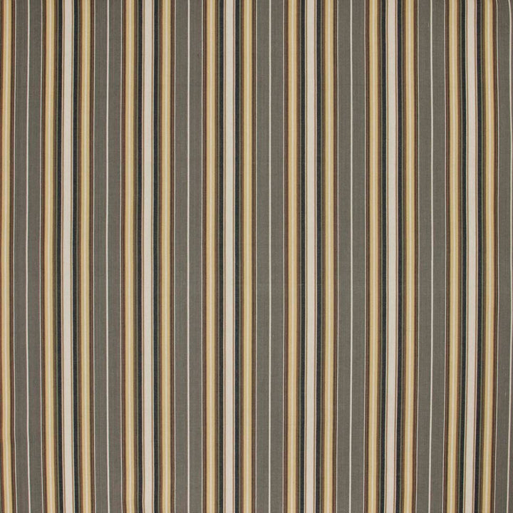 Rehearsal Pewter by Carole Fabric In Tune 100% Cotton India N/A Horizontal: 675 and Vertical: 0 54 - Fabric Carolina -