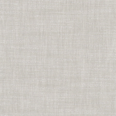Athlete Metal by Carole Designer Fabric Pewter 60% Cotton, 40% Polyester India Passes 50,000 Double Rubs Wyzenbeek None 55" - Swanky Fabrics -
