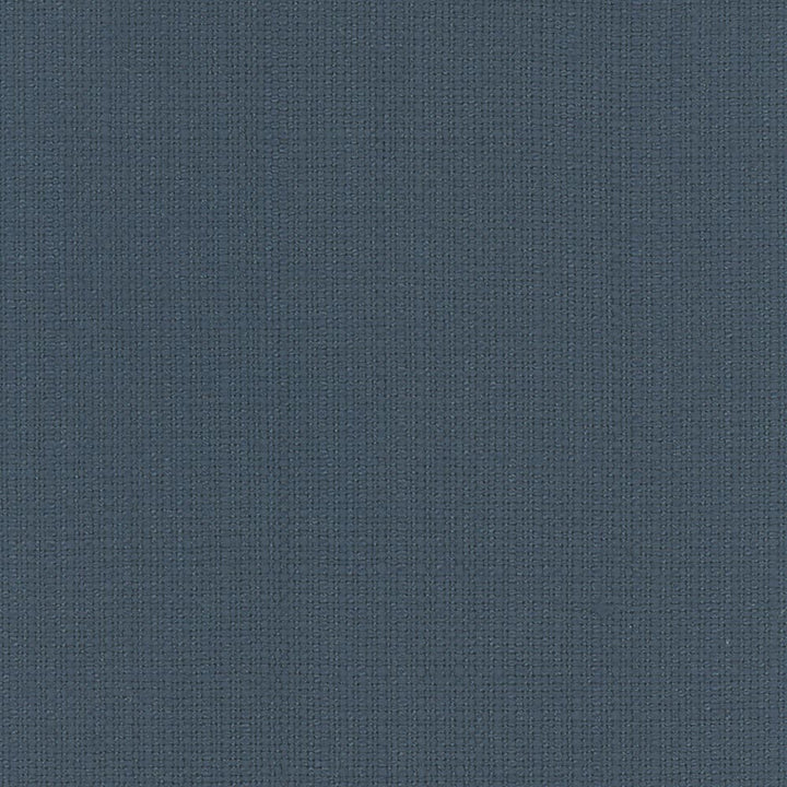 Narration Azure by Carole Fabric Narrator 100% Polyester Mexico Passes 30,000 Double Rubs Wyzenbeek Horizontal: 0 and Vertical: 0 54 - Fabric Carolina -