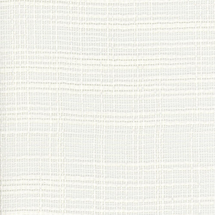 Super Easy Coconut by Carole Fabric Come Home 100% Polyester India N/A Horizontal: 0 and Vertical: 0 54 - Fabric Carolina -