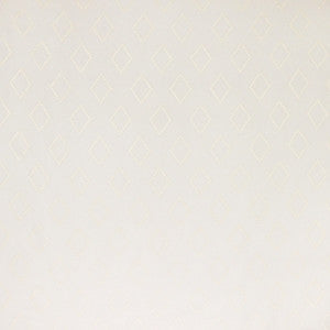 Infinite View Ivory by Carole Fabric