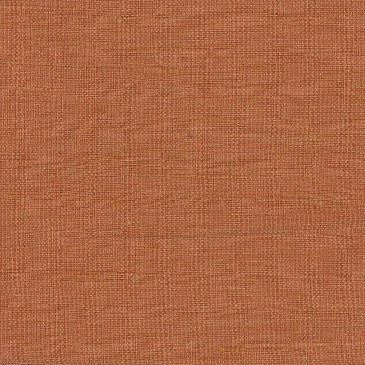 Lydia Spice by Carole Fabric Lydia Ii 100% Polyester India N/A Horizontal: 0 and Vertical: 0 54 - Fabric Carolina -