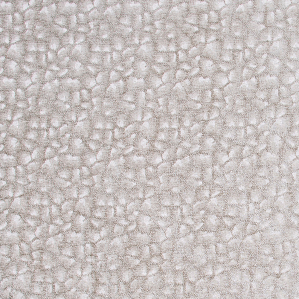 Sleeping Bear Oyster by Carole Fabric Jungle Safari 100% Polyester China Passes 50,000 Double Rubs Wyzenbeek Horizontal: 5 and Vertical: 5.5 55 - Fabric Carolina -