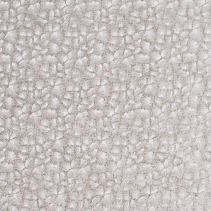 Sleeping Bear Oyster by Carole Fabric Jungle Safari 100% Polyester China Passes 50,000 Double Rubs Wyzenbeek Horizontal: 5 and Vertical: 5.5 55 - Fabric Carolina -