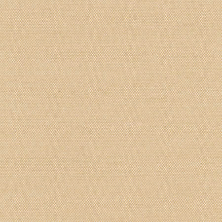 Freshman Camel by Carole Designer Fabric Toasted Almond 100% Polyester INDIA 100,000 Wyzenbeek Double Rubs None 54" - Swanky Fabrics -