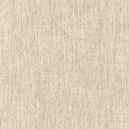 Hand Holder Granite by Carole Fabric Alliance 100% Polyester India N/A None 54""  - Fabric Carolina -