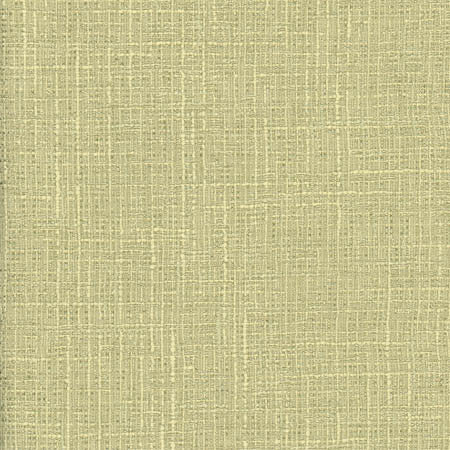Adjuster Pear by Carole Fabric Laguna 62% Polyester, 32% Cotton, 6% Viscose INDIA  None 54"  - Fabric Carolina -