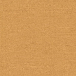 Distinct II Caramel by Carole Fabric