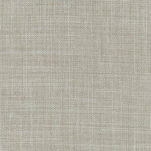 Sightsee Pebble by Carole Fabric