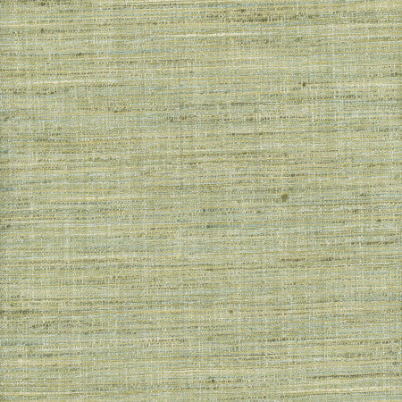 Gear Up Peapod by Carole Designer Fabric Celadon 100% Polyester India Passes 30,000 Double Rubs Wyzenbeek Horizontal: None and Vertical: None 5475" - Swanky Fabrics -
