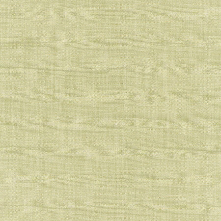 Athlete Celery by Carole Fabric Celadon 60% Cotton, 40% Polyester India Passes 50,000 Double Rubs Wyzenbeek </p><p>Repeat: None 55" - Fabric Carolina -