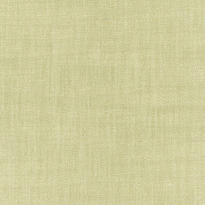 Athlete Celery by Carole Fabric
