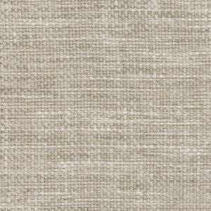 Lazarus Abalone by Carole Fabric
