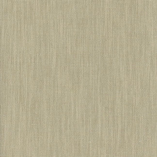 Dignity Pebble by Carole Fabric Dignity 83% Polyester, 17% Cotton India Passes 50,000 Double Rubs Wyzenbeek </p><p>Repeat: NONE 54" - Fabric Carolina -
