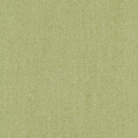 Freshman Aloe by Carole Fabric Laguna 100% Polyester INDIA 100,000 Wyzenbeek Double Rubs None 54"  - Fabric Carolina -