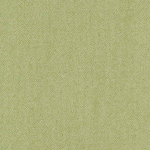 Freshman Aloe by Carole Fabric