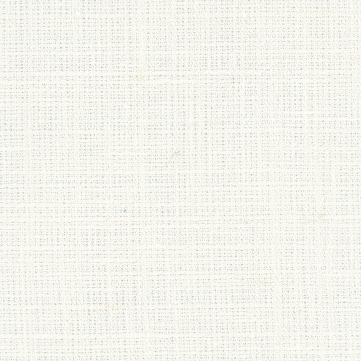 Inner Child Cream by Carole Fabric Opal 66% Polyester, 21% Cotton, 13% Linen India Passes 15,000 Double Rubs Wyzenbeek Horizontal: 0 and Vertical: 0 54 - Fabric Carolina -