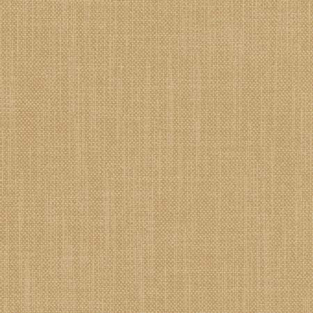 Liberty Cashew by Carole Fabric Liberty,Liberty II 100% Polyester India Passes 50,000 Double Rubs Wyzenbeek None 54"  - Fabric Carolina -