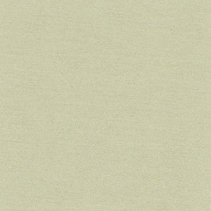 Northwind Celadon by Carole Fabric