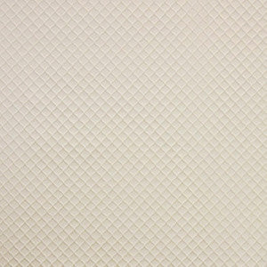 Contemplation Ivory by Carole Fabric