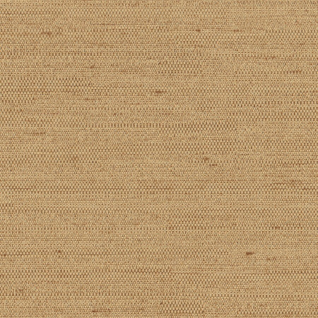 Aiden Camel by Carole Designer Fabric Aiden Gallery,Chestnut,Subtle Hints 100% Polyester INDIA PASSES 30,000 DOUBLE RUBS WYZENBEEK None 56" - Swanky Fabrics -