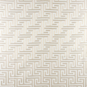 Find Your Way Birch by Carole Fabric
