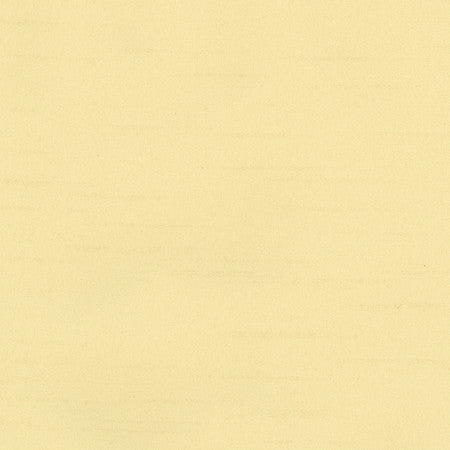 Bane Beeswax by Carole Designer Fabric With Grace 100% Polyester Hybrid FR Mexico 30,000 WYZENBEEK DOUBLE RUBS None 54" - Swanky Fabrics -