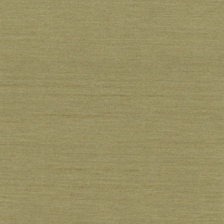 Northwind Sage by Carole Designer Fabric New Northwind III,New Northwind IV 100% Polyester India NONE 54" - Swanky Fabrics -