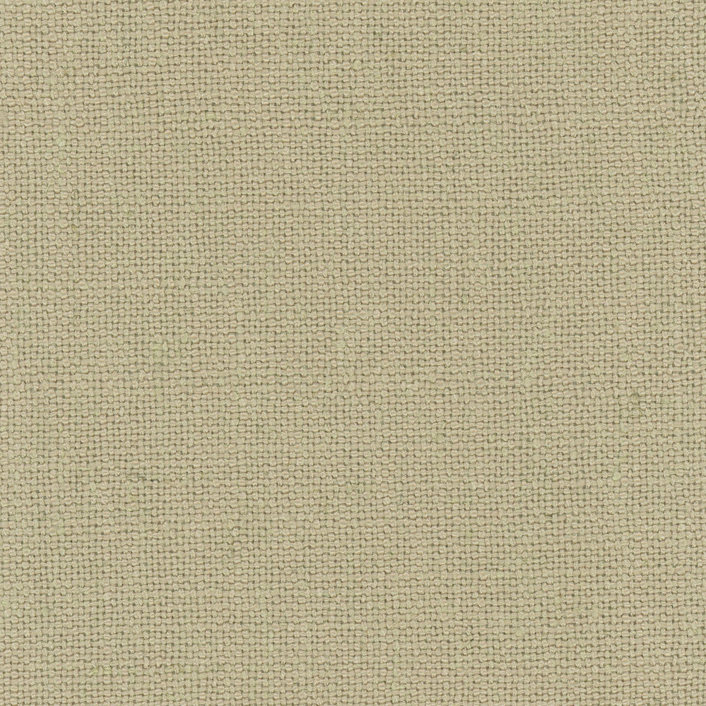 Defense Fossil by Carole Fabric Chestnut 95% Polyester, 5% Linen China Passes 110,000 Double Rubs Wyzenbeek Horizontal: 0 and Vertical: 0 57 - Fabric Carolina -