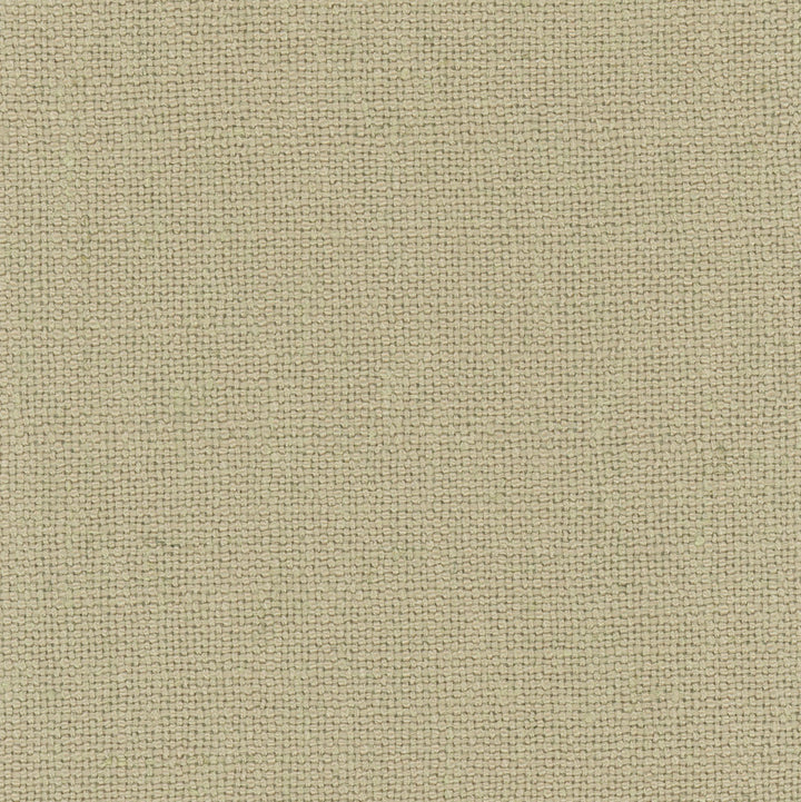 Defense Fossil by Carole Fabric Chestnut 95% Polyester, 5% Linen China Passes 110,000 Double Rubs Wyzenbeek Horizontal: 0 and Vertical: 0 57 - Fabric Carolina -