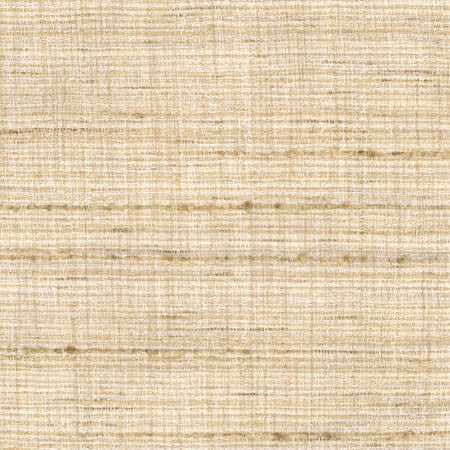 Tabletop Papyrus by Carole Designer Fabric Abode 100% Polyester India 30,000 Wyzenbeek Double Rubs None 54.75" - Swanky Fabrics -