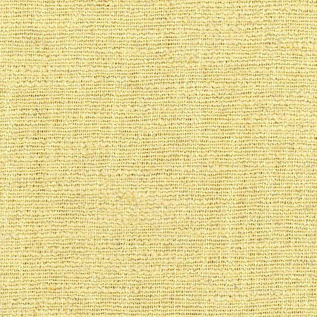 Warden Parmesan by Carole Fabric Sunbaked 90% Polyester, 10% Linen CHINA  None 55"  - Fabric Carolina -