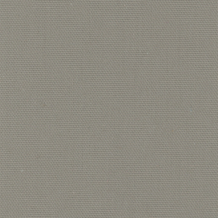Daydreamer Sterling by Carole Fabric Daydreaming 100% Cotton- Soil Release USA Passes 30,000 Double Rubs Wyzenbeek Horizontal: 0 and Vertical: 0 54 - Fabric Carolina -