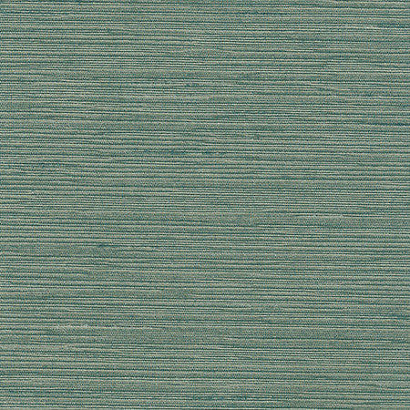 Optimism Lagoon by Carole Fabric Synchrony 100% IFR Polyester India 5,000 Wyzenbeek Double Rubs None 54"  - Fabric Carolina -