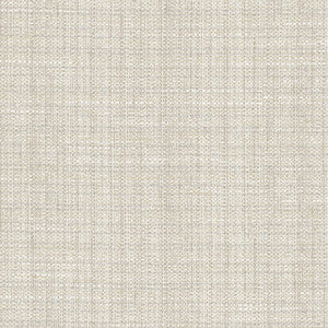 Rock Wall Fog by Carole Fabric