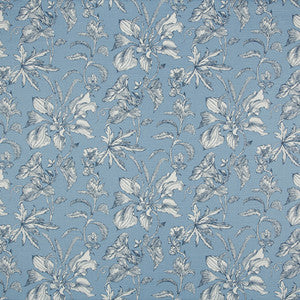 Our Song Skyblue by Carole Fabric