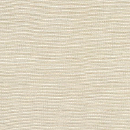 Boardroom Cotton by Carole Fabric Power Play 100% IFR Hybrid Polyester 25,000 Wyzenbeek Double Rubs None 54" - Fabric Carolina -