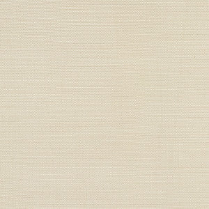 Boardroom Cotton by Carole Fabric
