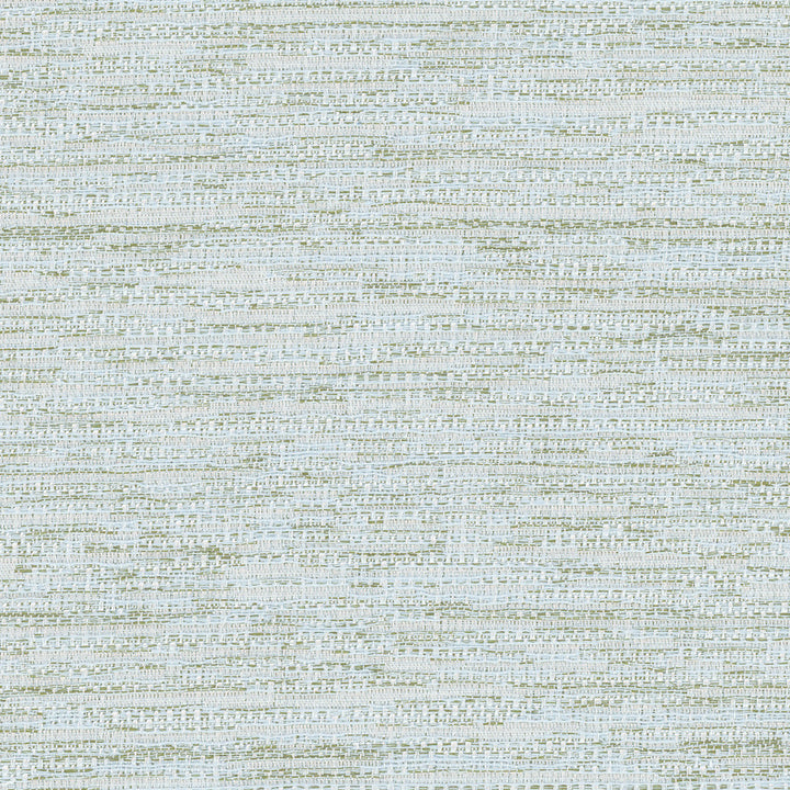 Front Tuck Mist by Carole Fabric Excursion 56% Polyester, 44% Cotton India 22,500 Wyzenbeek Double Rubs Horizontal: 0 and Vertical: 0 55.75 - Fabric Carolina -