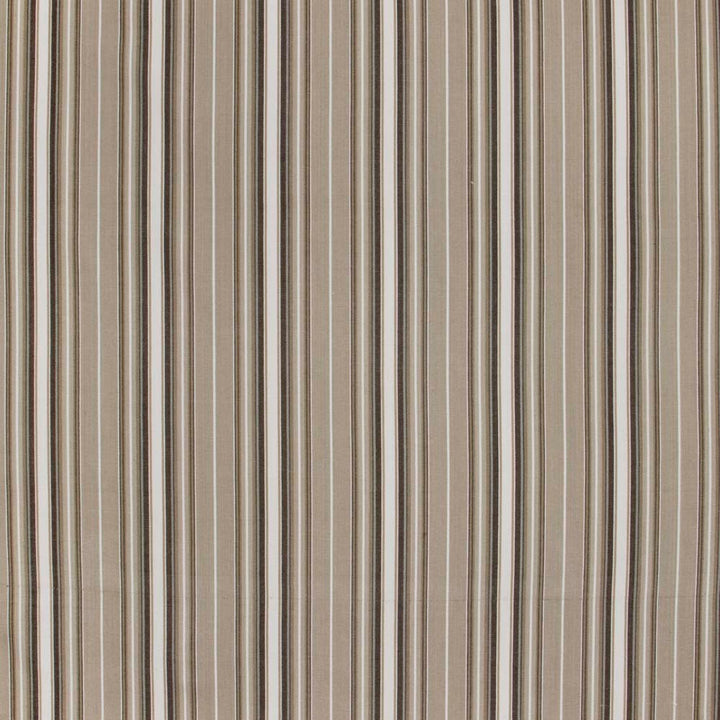 Rehearsal Oyster by Carole Fabric In Tune 100% Cotton India N/A Horizontal: 675 and Vertical: 0 54 - Fabric Carolina -