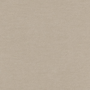 Warm Up Beige by Carole Fabric