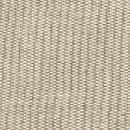 Aerial Oatmeal by Carole Designer Fabric Toasted Almond 100% Polyester INDIA 50,000 Wyzenbeek Double Rubs None 54" - Swanky Fabrics -